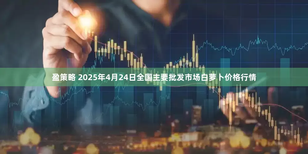 盈策略 2025年4月24日全国主要批发市场白萝卜价格行情