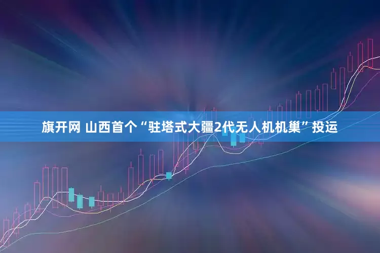 旗开网 山西首个“驻塔式大疆2代无人机机巢”投运