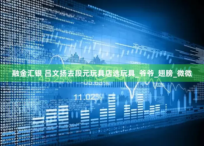融金汇银 吕文扬去段元玩具店选玩具_爷爷_翅膀_微微